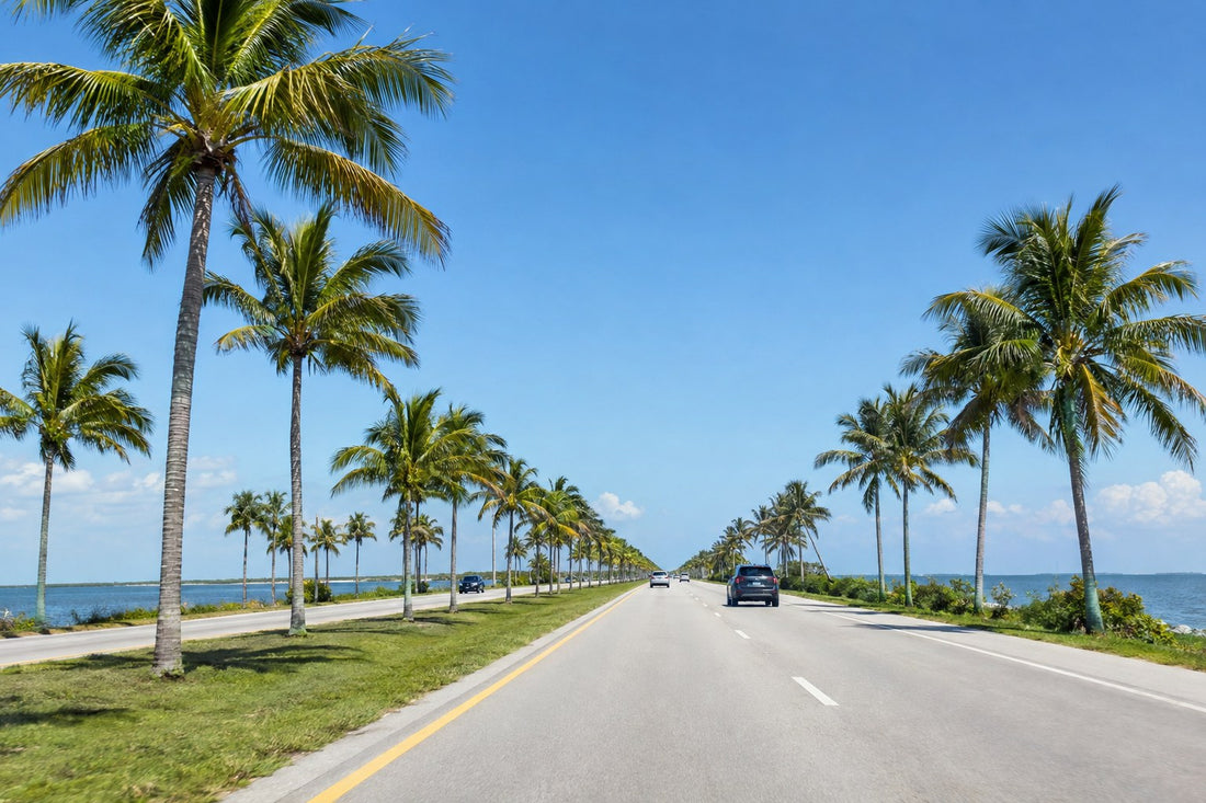 Florida highway lined with palm trees along the water - Florida Left Lane Law 2026
